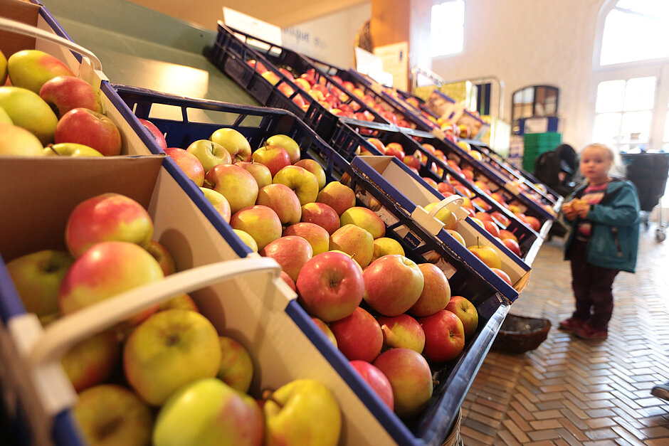 Hofladen Grothues Potthoff Obst