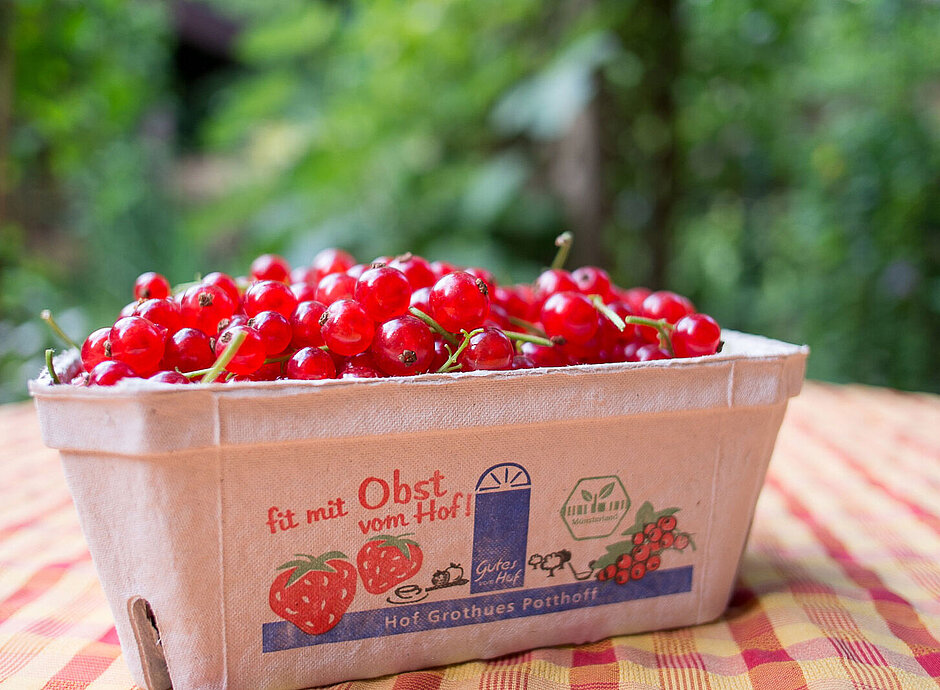 Johannisbeeren Hof Grothues Potthoff Johannisbeeren Hof Grothues Potthoff