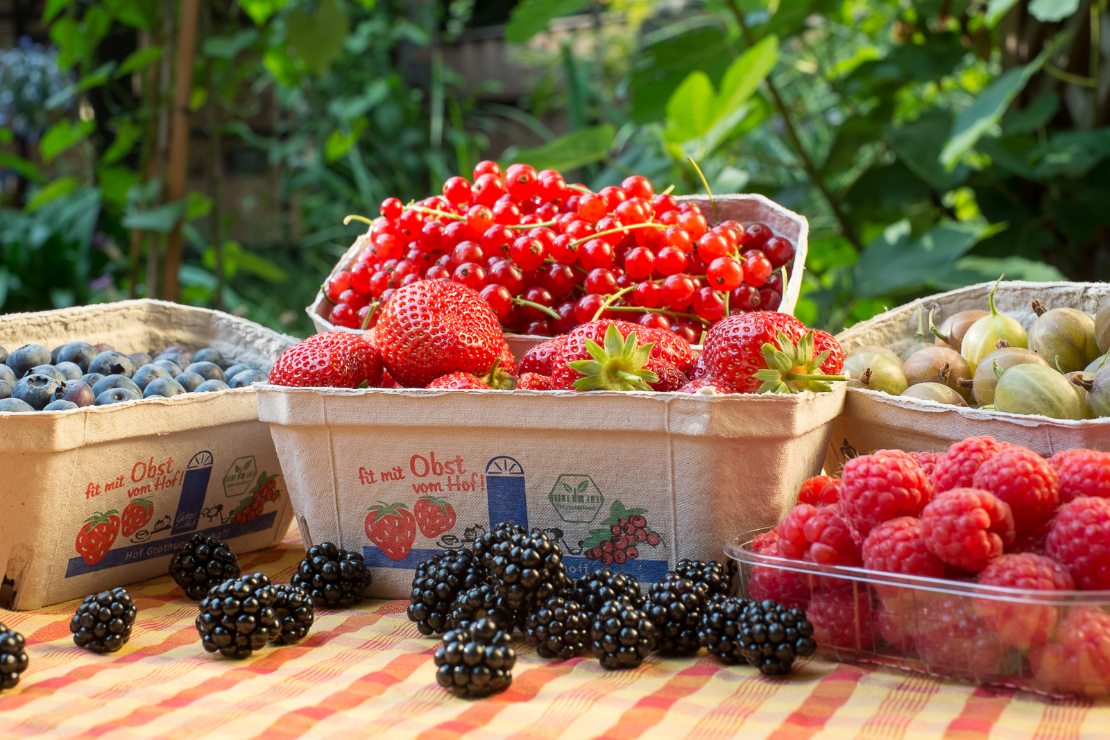 Saisonware Sommer Beeren Saisonware Sommer Beeren